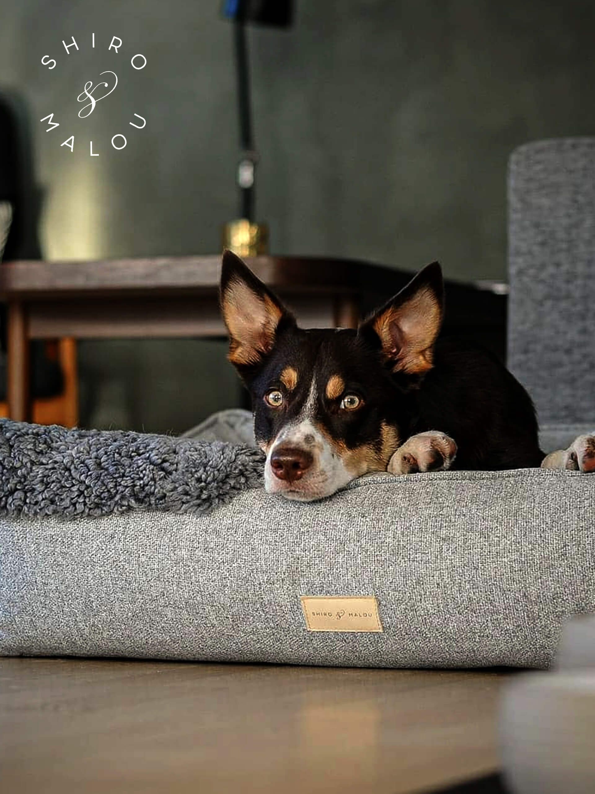 View Case Study For Shiro & Malou