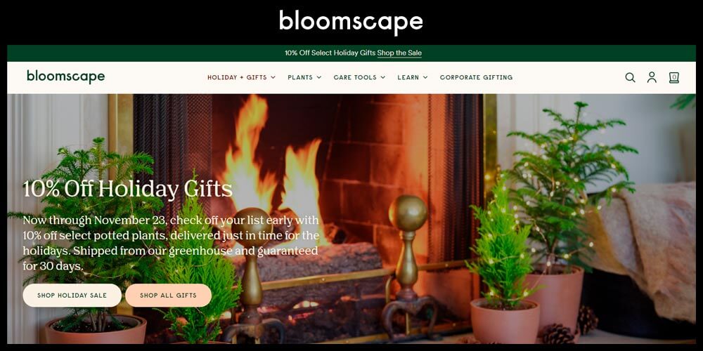 Bloomscape website homepage theme update during holidays