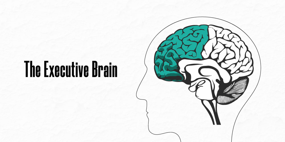 Executive Brain