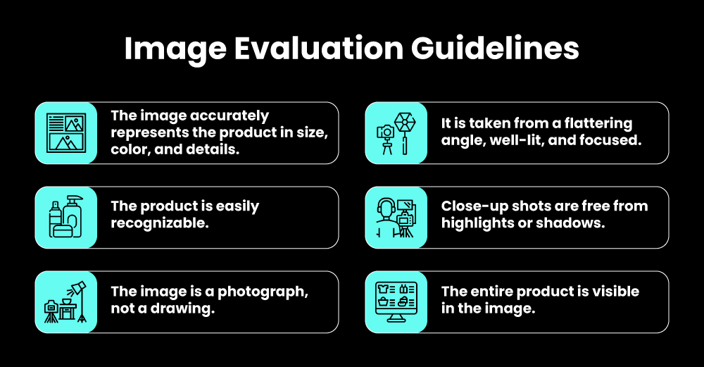 Image Evaluation Guidelines