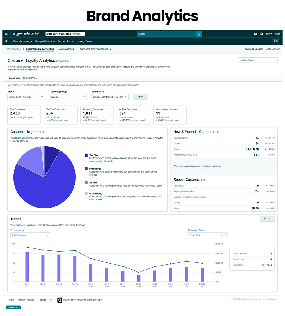 Amazon Brand Registry - Brand Analytics