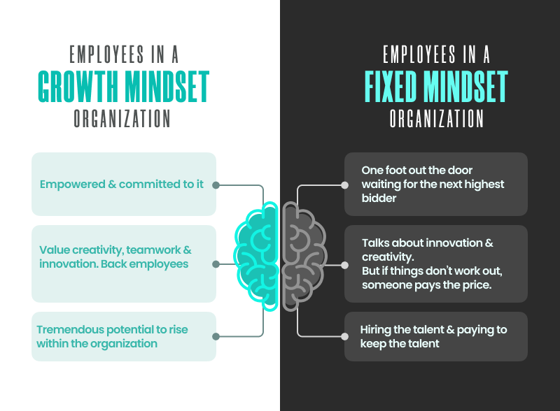 Employees in Fixed vs Growth Mindset