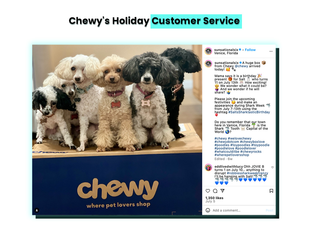 Chewy