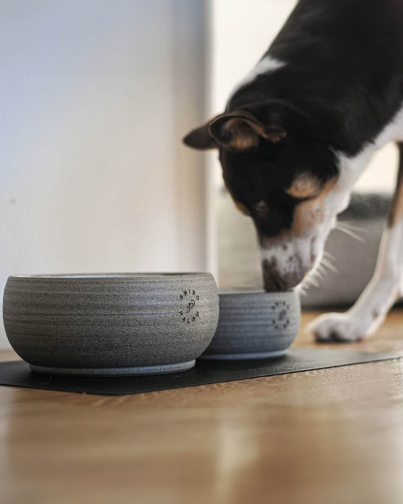 Shiro & Malou: $331K Sales & 10× ROAS