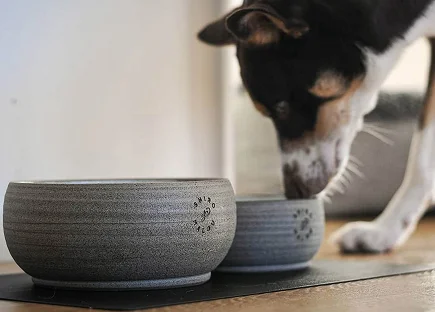 Pet Products & Care Case Study